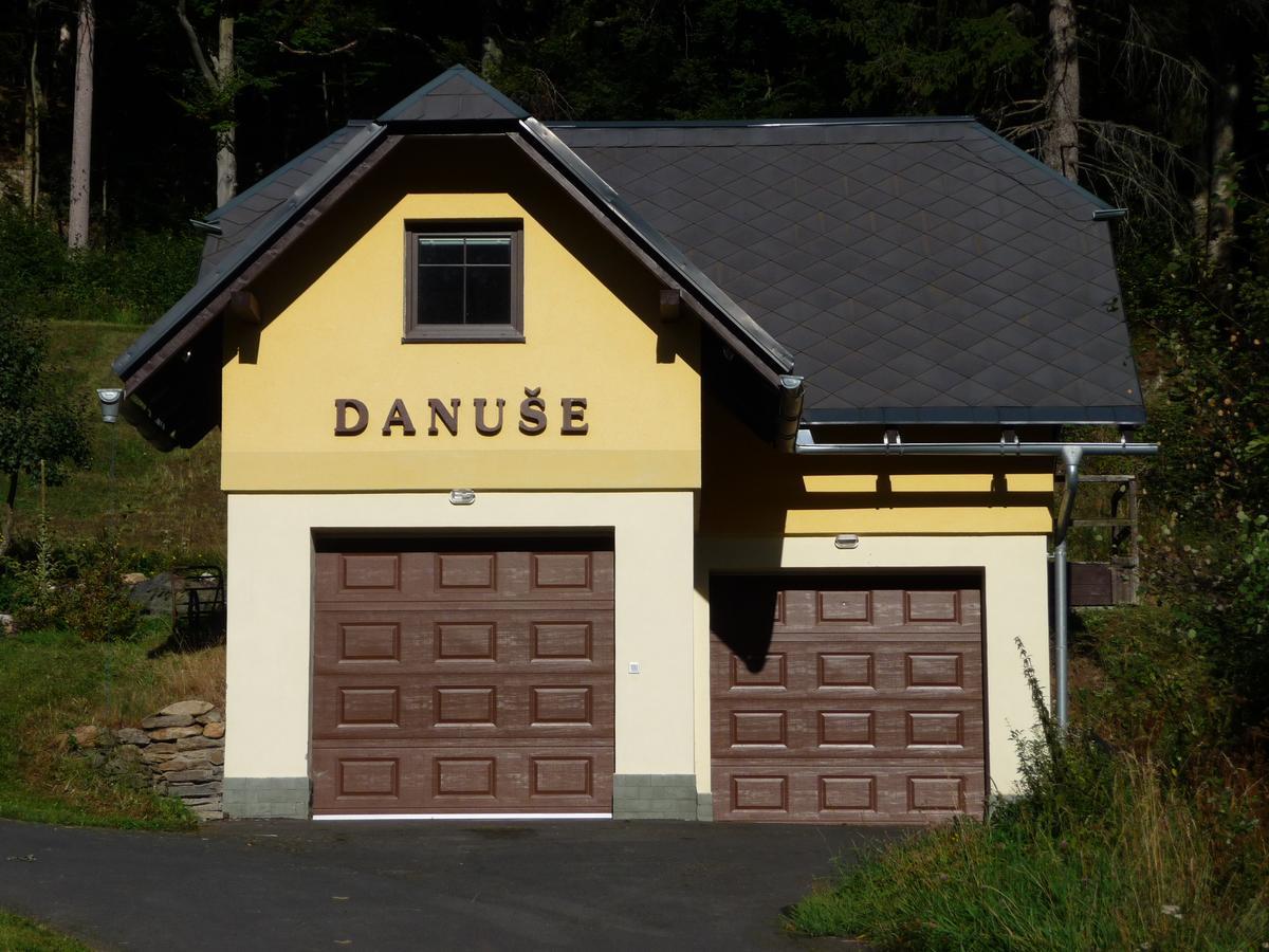 Danuse Ludvikov